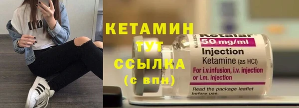индика Кинешма