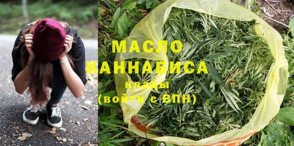 индика Кинешма