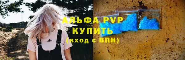 индика Кинешма