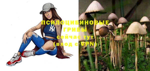 соль курить ск Карпинск