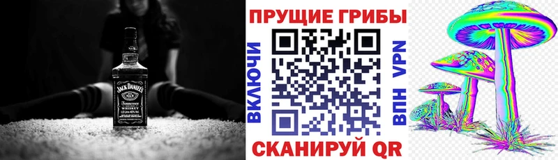 Купить где  Краснозаводск  Псилоцибиновые грибы Psilocybe 