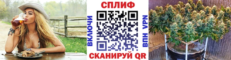 Марихуана SATIVA & INDICA  Купить закладки  Краснозаводск 